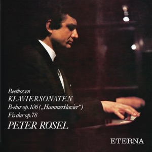 Beethoven: Piano Sonatas No. 24 & 29 "Hammerklavier"