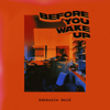 Adekunle Gold - Before You Wake Up artwork