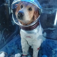 Neighborhood - Single - SDMike