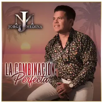 La Combinación Perfecta - Single by Jorge Medina album reviews, ratings, credits