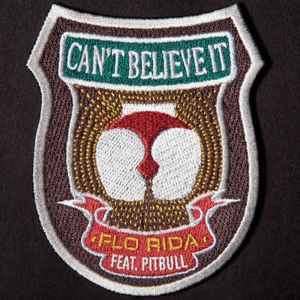 Can't Believe It (feat. Pitbull) - Single - Flo Rida