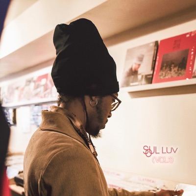 Soul Luv, Vol. 1