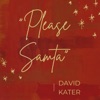 Please Santa - Single