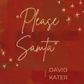 Please Santa