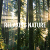 Relaxing Nature - Rain, Rain Sounds Lab & Weather Lab