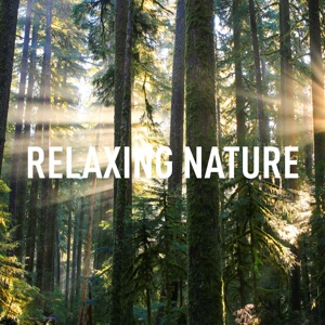 Relaxing Nature