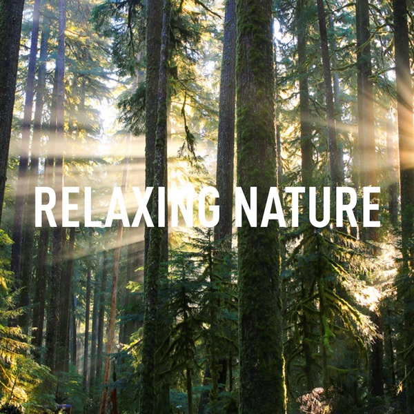 Relaxing Nature