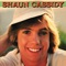 That's Rock 'N' Roll - Shaun Cassidy lyrics