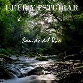Sonidos del Río Para Leer y Estudiar, Pt. 01 artwork