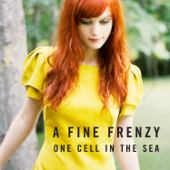 One Cell In the Sea - A Fine Frenzy