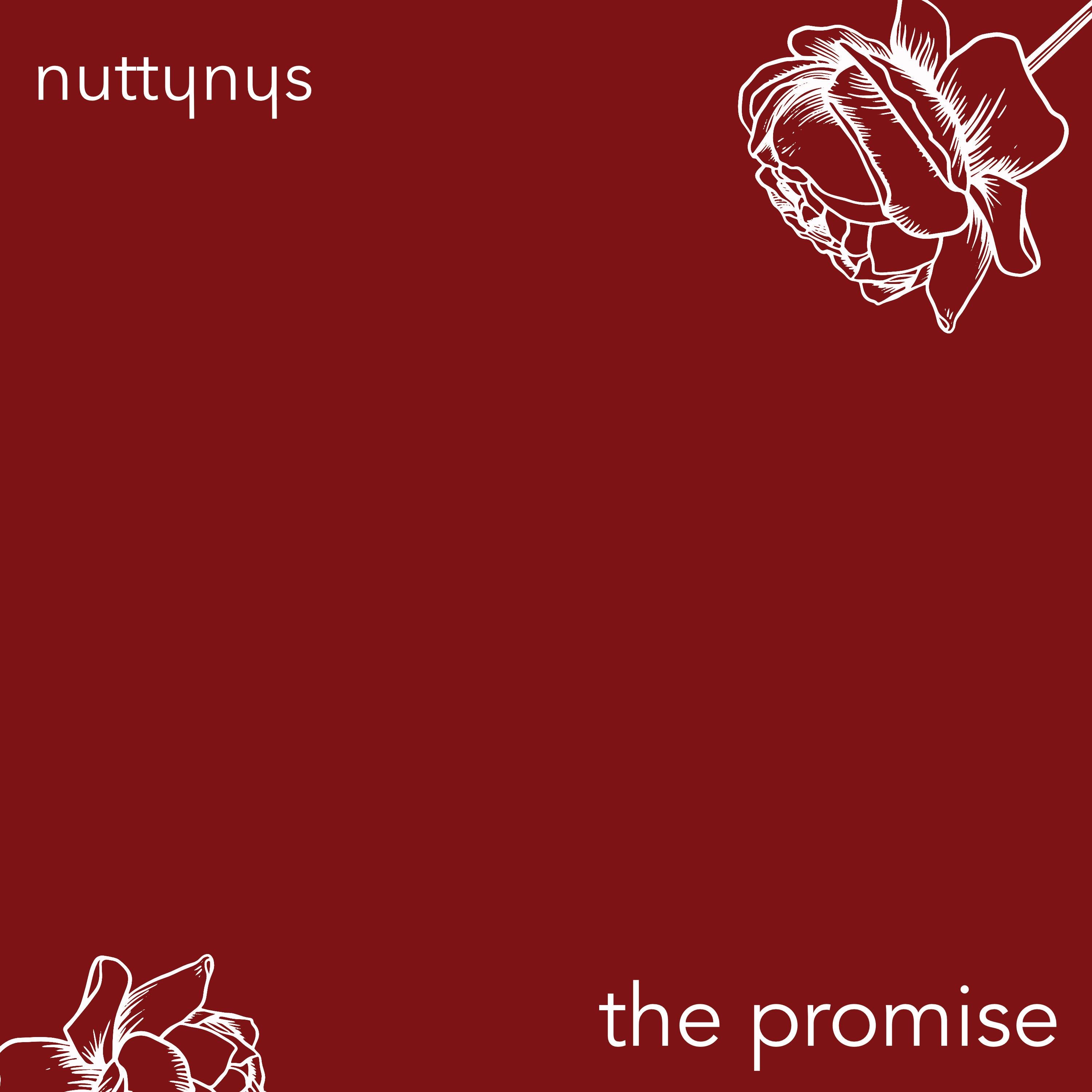 Nutty Nys - The Promise
