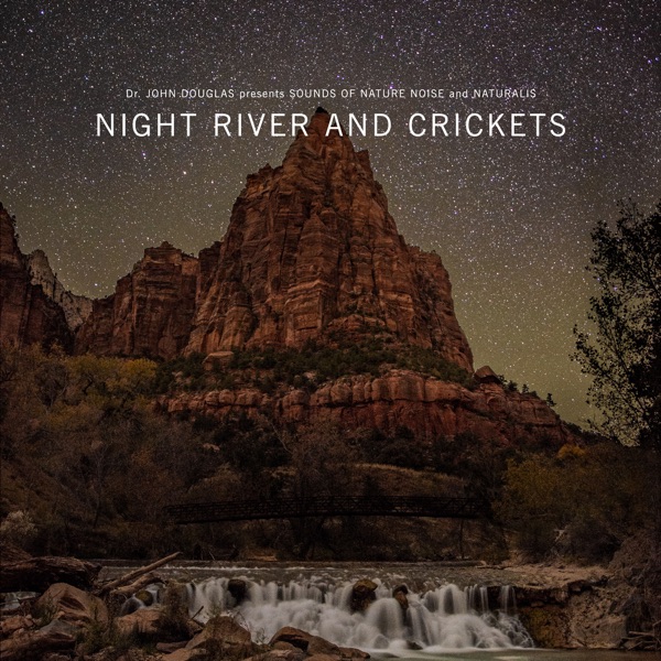 Night River and Crickets