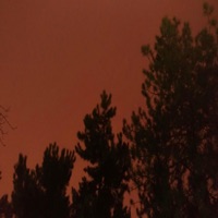 Kazablanka (Naçiz) - Single - Armando