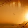Angel David - Ya Vengo