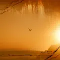 Angel David