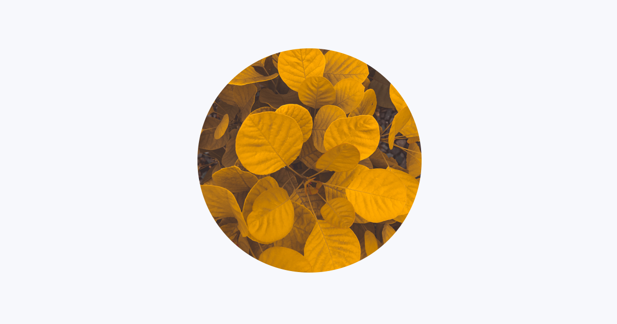 My-Fi - Apple Music