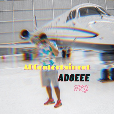 Fly - Single