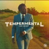 Tempermental - Single