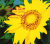 So Nice (Summer Samba) [feat. Basia] - Taro Hakase