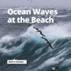 Ocean Waves at the Beach - Single