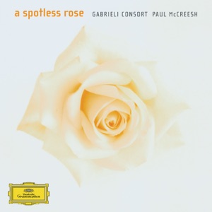 A Spotless Rose