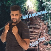 Ver Se Desencana (Ao vivo) - Single - Felipe Filho
