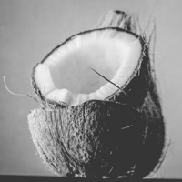 Coco-Nuts for You - Single - Adam Steele