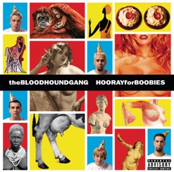 HOORAY FOR BOOBIES cover art