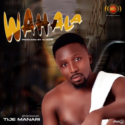Wahala - Single