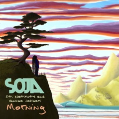 Morning (feat. Natiruts & Gomba Jahbari) - Single