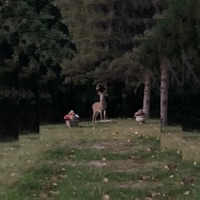 Lost - Single - BEATRAT