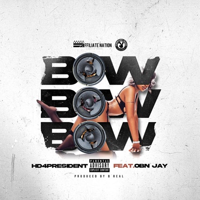 Bow Bow Bow (feat. OBN Jay) - Single