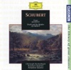 F. Schubert - Piano Quintet in A D667 "the trout"