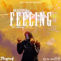 Beautiful Feeling (feat. Paypah) - Single - Smeeez