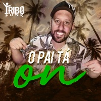 O Pai Tá On - Single - Tribo do Funk