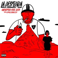 La Despedida - Single - Crocopolo