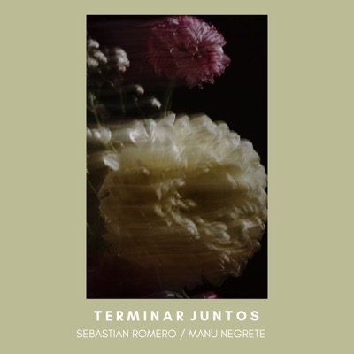 Terminar Juntos - Single