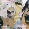 Dreaming (Hyman Bass Remix) - MATE 0000 lyrics
