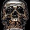 Dogs of War - Agitprop 666 lyrics