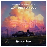 Waiting for You (feat. Fuji) - Single - Tai Min & Cozu