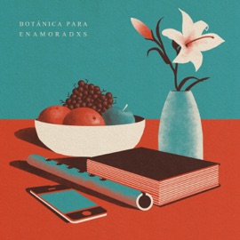 Ojalá Pudiera Irme Caminando a Tu Casa (feat. Benjamin Walker) Filgueira