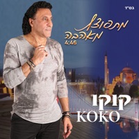 מתפוצץ מאהבה - Single - Koko from Eilat