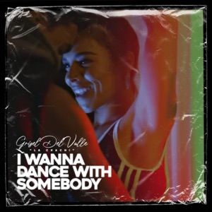 I Wanna Dance With Somebody (Who Loves Me) - Single