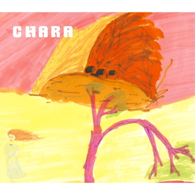 I Don T Know Chara Insist Shazam