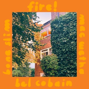 Fire (feat. Bel Cobain) - Single