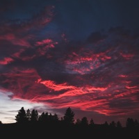 Own Thoughts - Single - Lo-Fi Luke & Phonedown