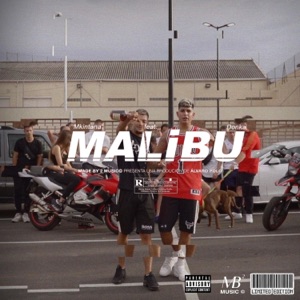 Malibu (feat. Donka) - Single