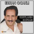 Biri Sevda Biri Baris