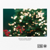 Auld Lang Syne (Acoustic Version) - Loving Caliber
