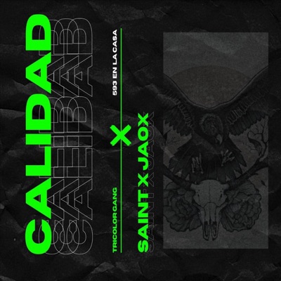 Calidad (feat. Jaox) - Single